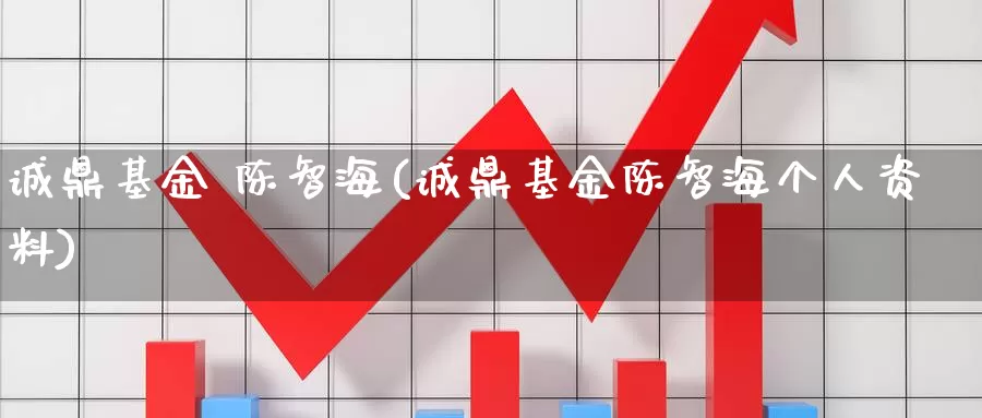 诚鼎基金 陈智海(诚鼎基金陈智海个人资料)_https://www.zzcnk.com_基金_第1张