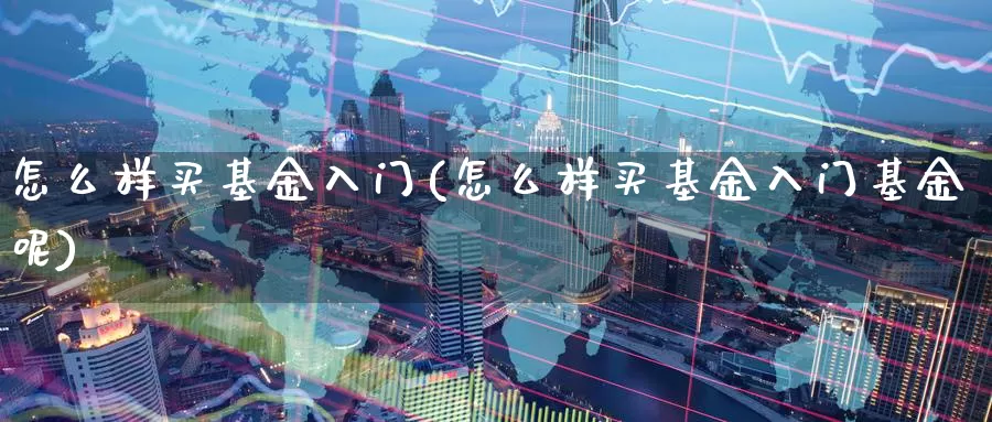 怎么样买基金入门(怎么样买基金入门基金呢)_https://www.zzcnk.com_期货_第1张