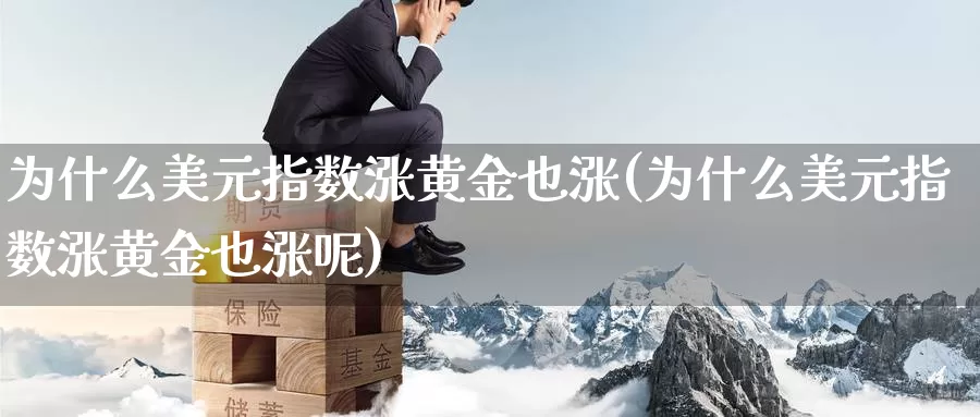 为什么美元指数涨黄金也涨(为什么美元指数涨黄金也涨呢)_https://www.zzcnk.com_财经_第1张