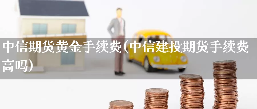 中信期货黄金手续费(中信建投期货手续费高吗)_https://www.zzcnk.com_股指期货_第1张