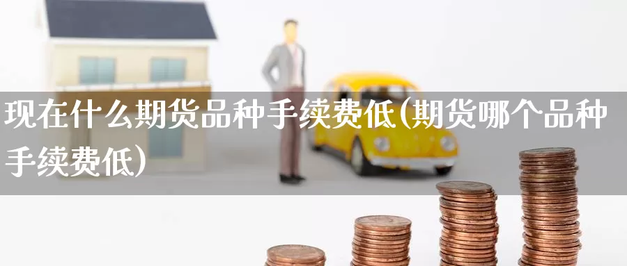 现在什么期货品种手续费低(期货哪个品种手续费低)_https://www.zzcnk.com_期货百科_第1张