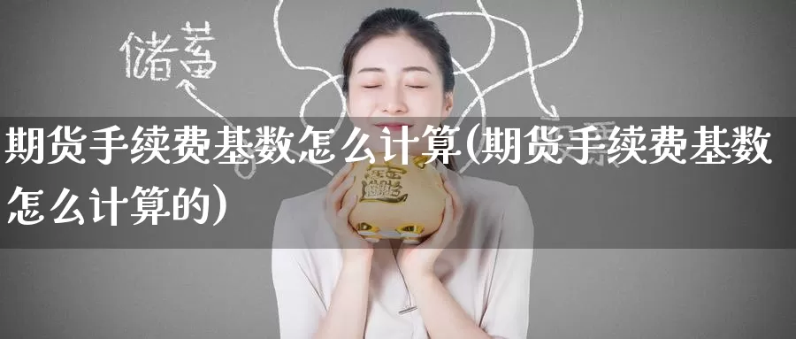期货手续费基数怎么计算(期货手续费基数怎么计算的)_https://www.zzcnk.com_期货百科_第1张
