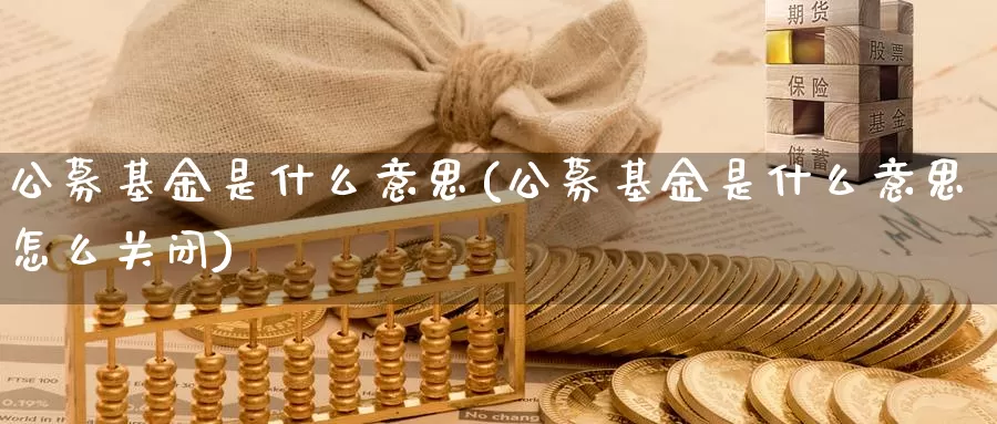 公募基金是什么意思(公募基金是什么意思怎么关闭)_https://www.zzcnk.com_内盘期货_第1张