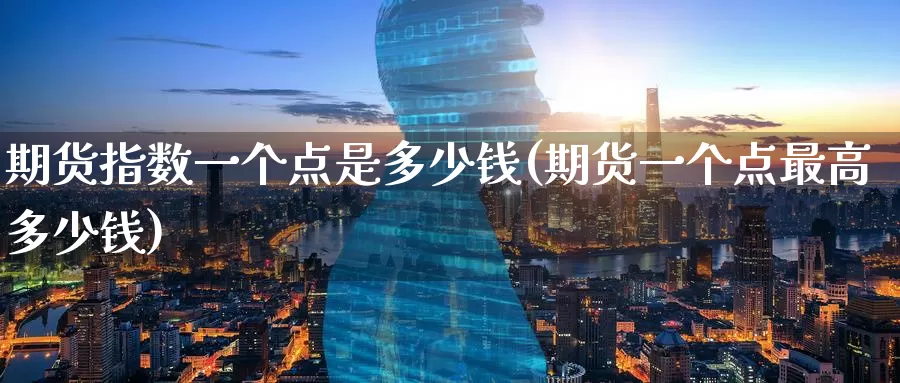 期货指数一个点是多少钱(期货一个点最高多少钱)_https://www.zzcnk.com_期货百科_第1张