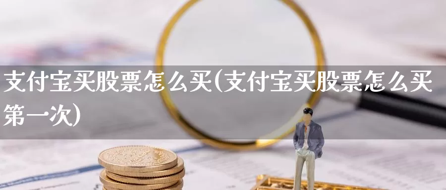 支付宝买股票怎么买(支付宝买股票怎么买第一次)_https://www.zzcnk.com_股票_第1张