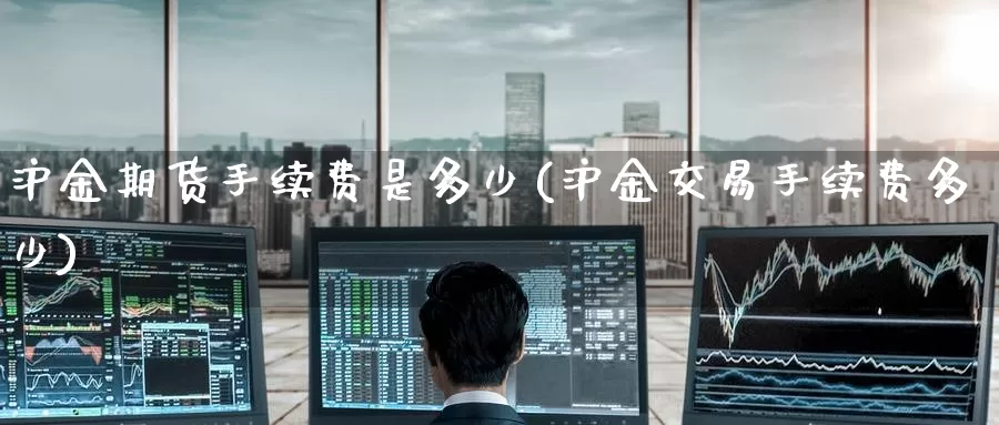 沪金期货手续费是多少(沪金交易手续费多少)_https://www.zzcnk.com_恒生指数_第1张
