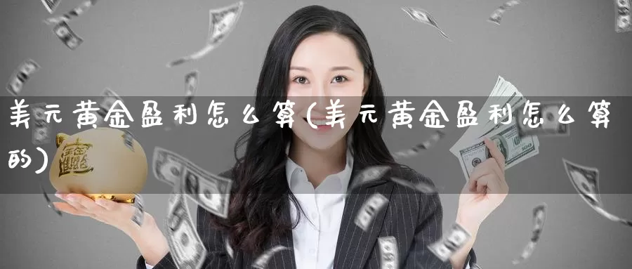 美元黄金盈利怎么算(美元黄金盈利怎么算的)_https://www.zzcnk.com_股票_第1张