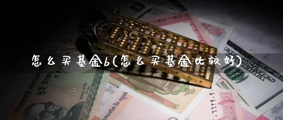 怎么买基金b(怎么买基金比较好)_https://www.zzcnk.com_基金_第1张