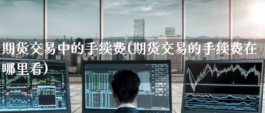 期货交易中的手续费(期货交易的手续费在哪里看)_https://www.zzcnk.com_股指期货_第1张