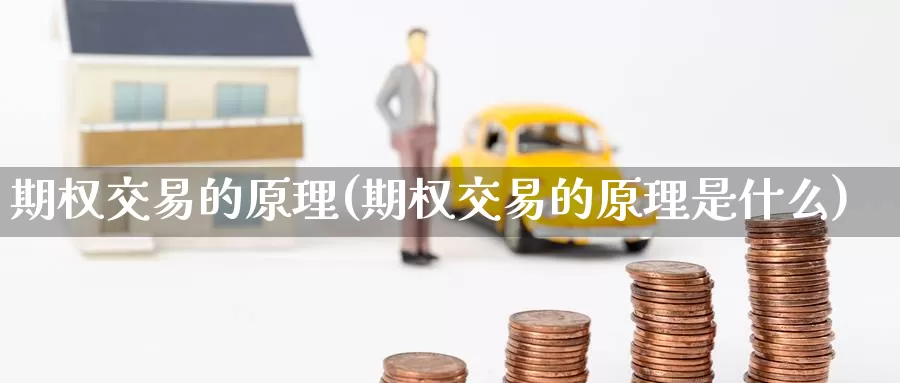 期权交易的原理(期权交易的原理是什么)_https://www.zzcnk.com_纳指期货_第1张