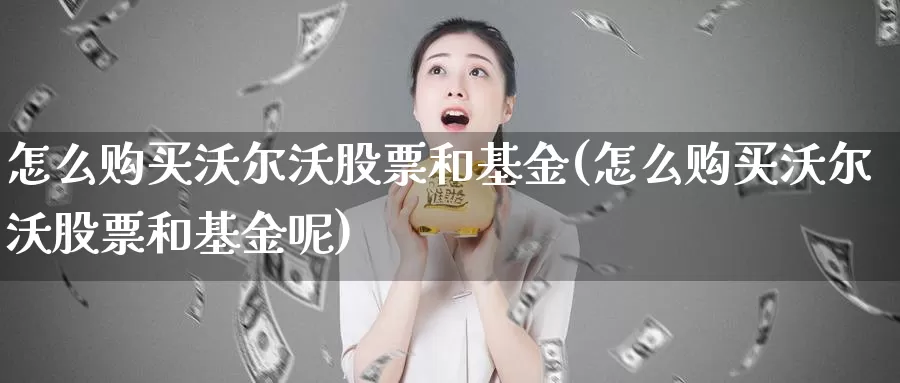 怎么购买沃尔沃股票和基金(怎么购买沃尔沃股票和基金呢)_https://www.zzcnk.com_股票_第1张