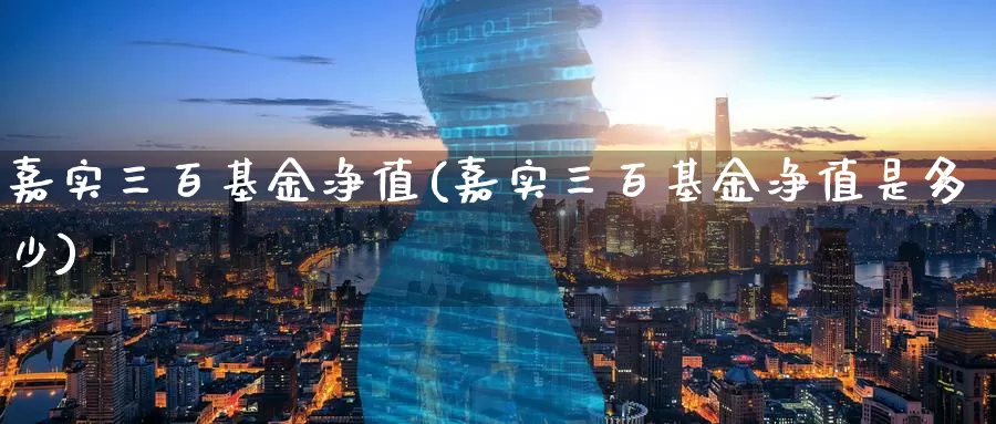 嘉实三百基金净值(嘉实三百基金净值是多少)_https://www.zzcnk.com_股票_第1张