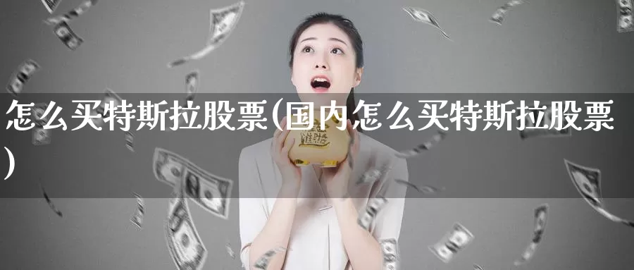 怎么买特斯拉股票(国内怎么买特斯拉股票)_https://www.zzcnk.com_股票_第1张