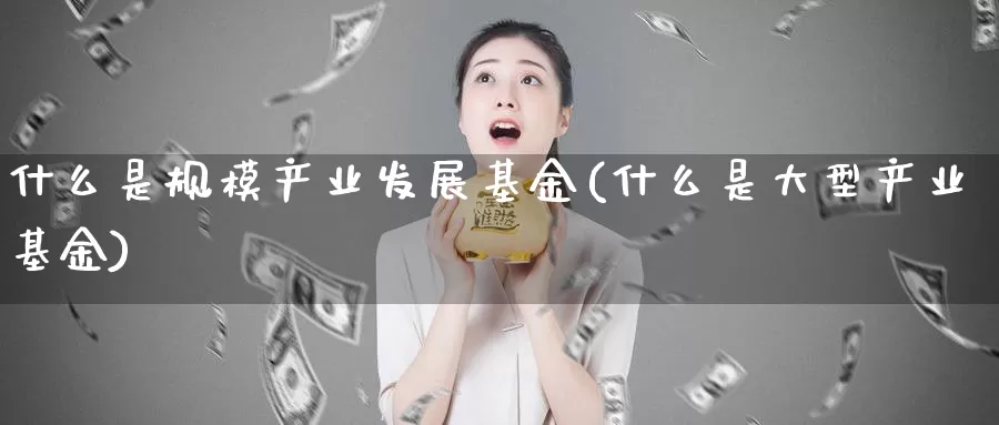 什么是规模产业发展基金(什么是大型产业基金)_https://www.zzcnk.com_基金_第1张