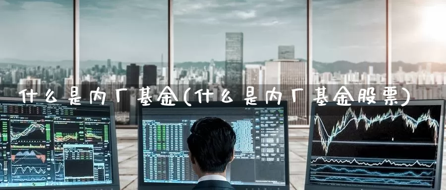 什么是内厂基金(什么是内厂基金股票)_https://www.zzcnk.com_基金_第1张
