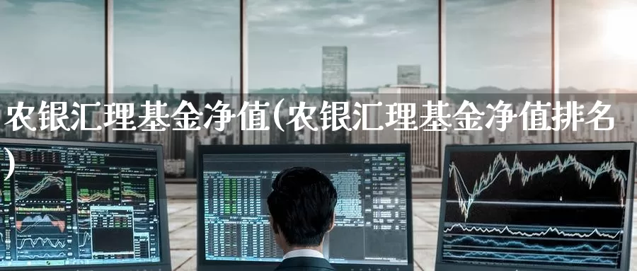 农银汇理基金净值(农银汇理基金净值排名)_https://www.zzcnk.com_财经_第1张