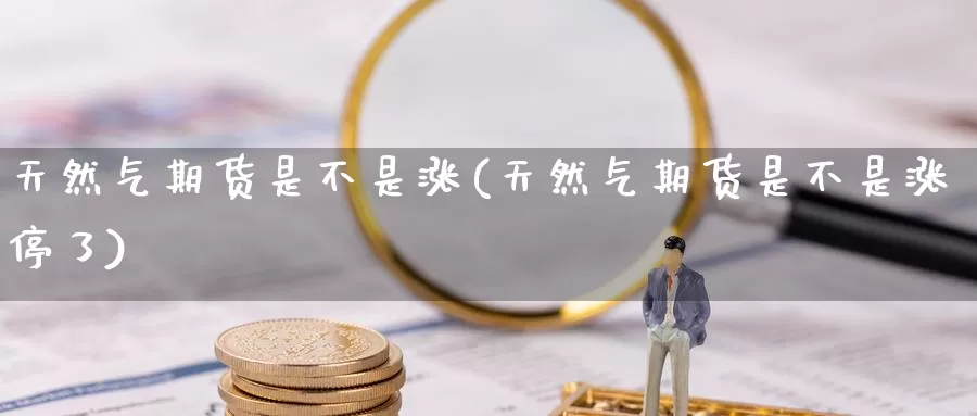天然气期货是不是涨(天然气期货是不是涨停了)_https://www.zzcnk.com_原油期货_第1张