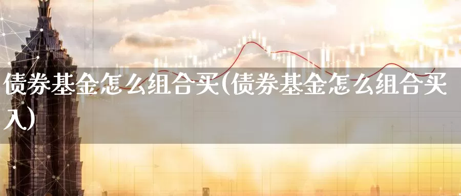 债券基金怎么组合买(债券基金怎么组合买入)_https://www.zzcnk.com_基金_第1张