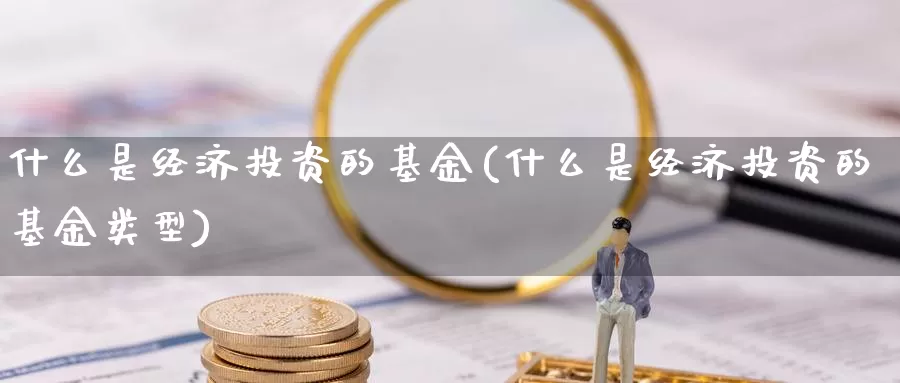 什么是经济投资的基金(什么是经济投资的基金类型)_https://www.zzcnk.com_基金_第1张