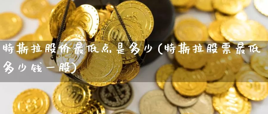 特斯拉股价最低点是多少(特斯拉股票最低多少钱一股)_https://www.zzcnk.com_纳指期货_第1张