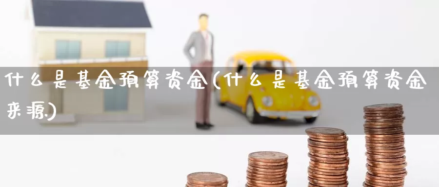 什么是基金预算资金(什么是基金预算资金来源)_https://www.zzcnk.com_财经_第1张