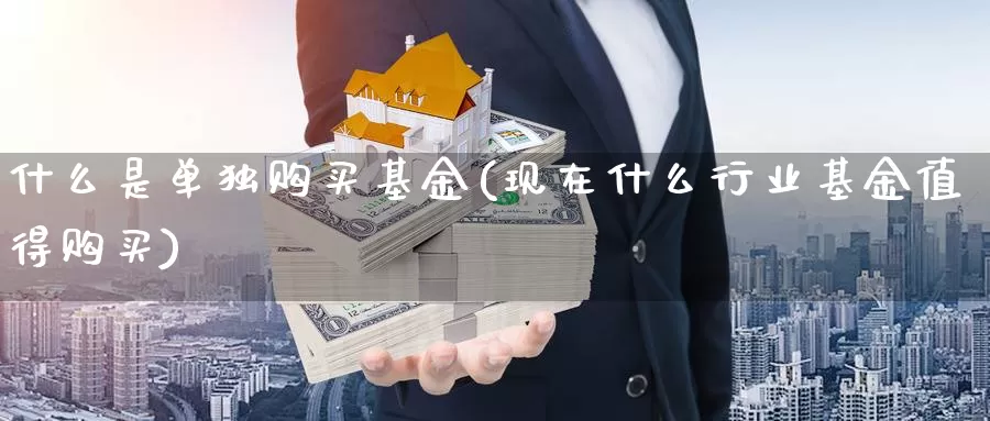 什么是单独购买基金(现在什么行业基金值得购买)_https://www.zzcnk.com_基金_第1张