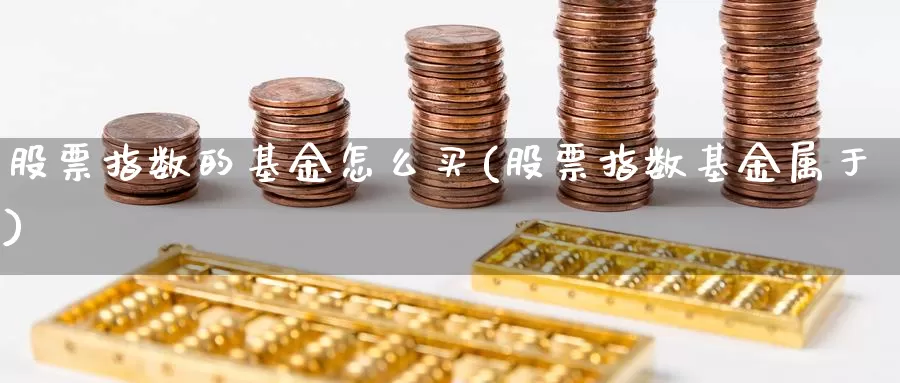 股票指数的基金怎么买(股票指数基金属于)_https://www.zzcnk.com_基金_第1张