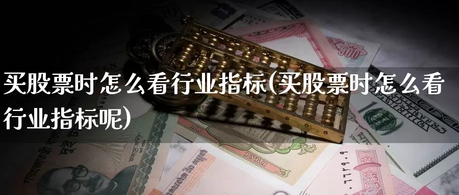 买股票时怎么看行业指标(买股票时怎么看行业指标呢)_https://www.zzcnk.com_股票_第1张