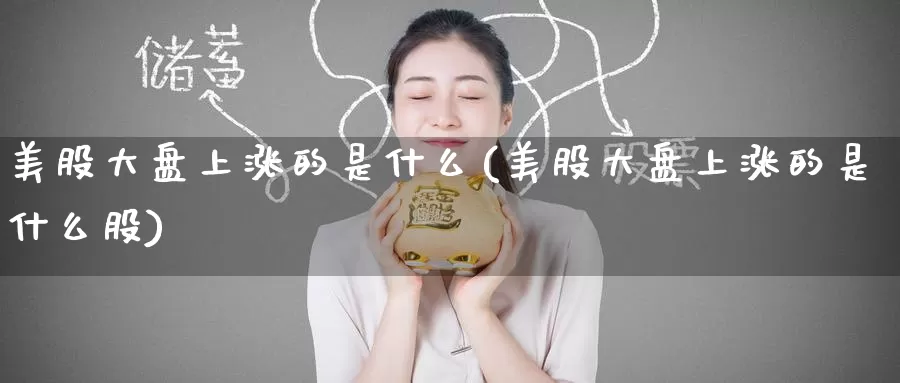 美股大盘上涨的是什么(美股大盘上涨的是什么股)_https://www.zzcnk.com_理财_第1张