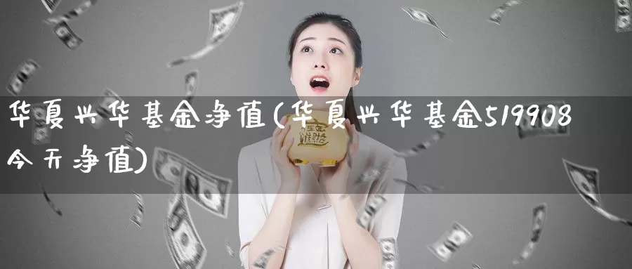 华夏兴华基金净值(华夏兴华基金519908今天净值)_https://www.zzcnk.com_理财_第1张
