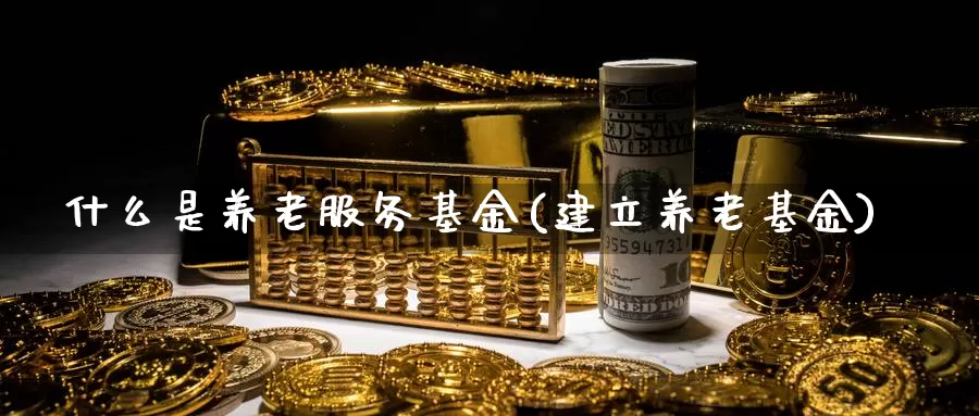 什么是养老服务基金(建立养老基金)_https://www.zzcnk.com_基金_第1张