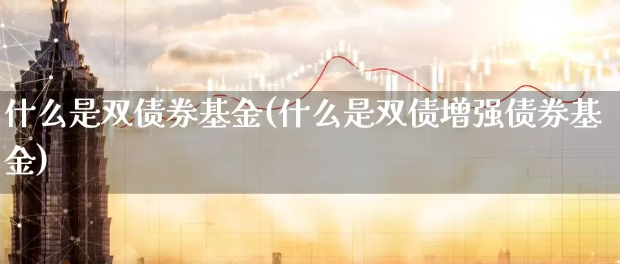什么是双债券基金(什么是双债增强债券基金)_https://www.zzcnk.com_基金_第1张