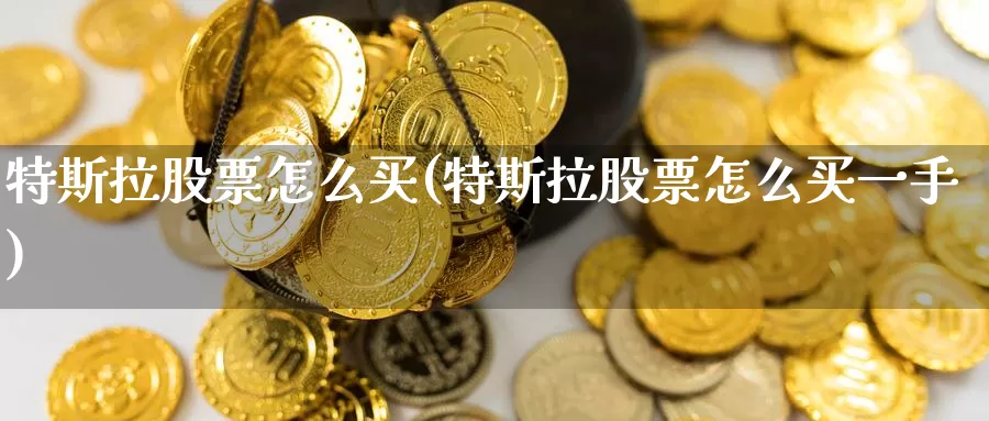 特斯拉股票怎么买(特斯拉股票怎么买一手)_https://www.zzcnk.com_股票_第1张