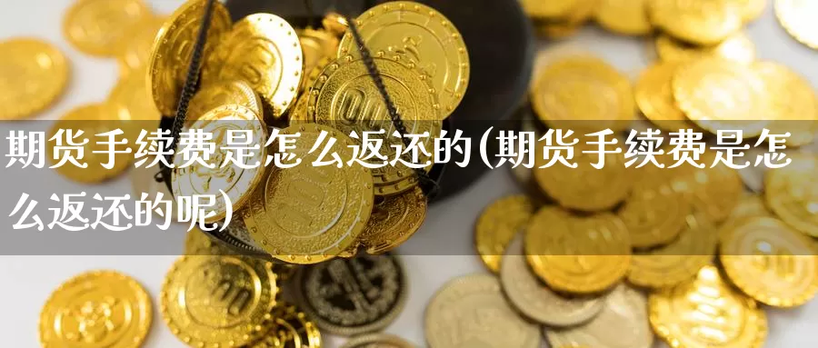 期货手续费是怎么返还的(期货手续费是怎么返还的呢)_https://www.zzcnk.com_期货百科_第1张