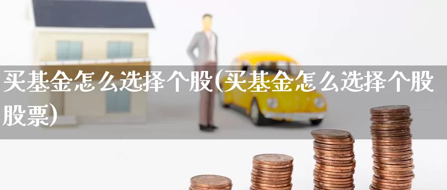 买基金怎么选择个股(买基金怎么选择个股股票)_https://www.zzcnk.com_基金_第1张