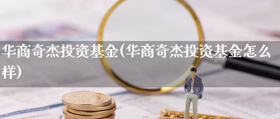 华商奇杰投资基金(华商奇杰投资基金怎么样)_https://www.zzcnk.com_理财_第1张