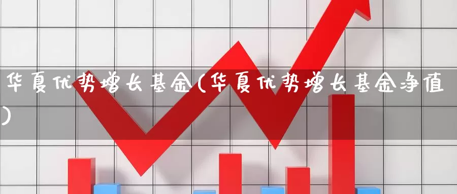 华夏优势增长基金(华夏优势增长基金净值)_https://www.zzcnk.com_理财_第1张