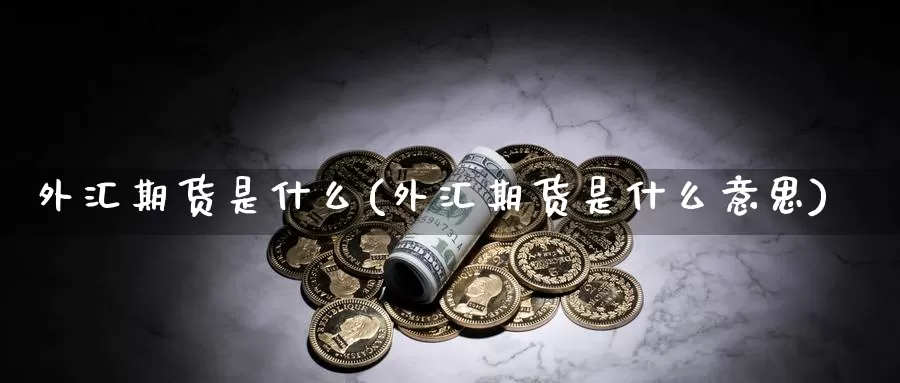 外汇期货是什么(外汇期货是什么意思)_https://www.zzcnk.com_期货_第1张