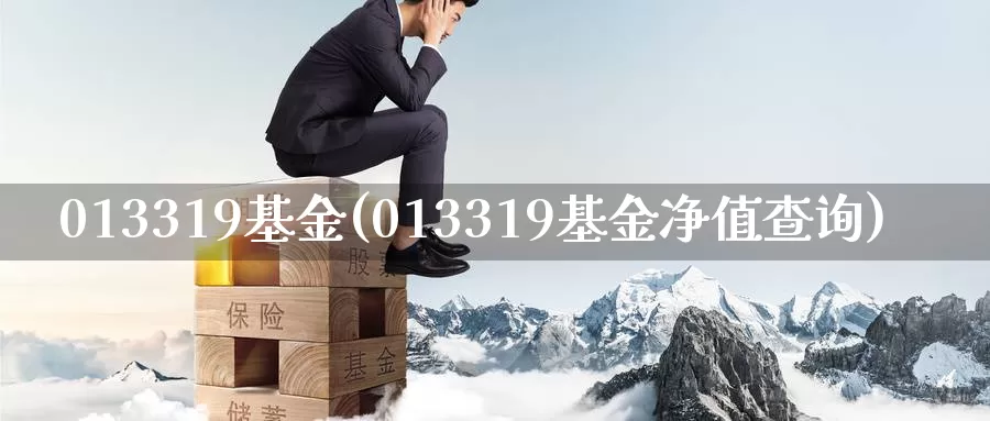 013319基金(013319基金净值查询)_https://www.zzcnk.com_期货百科_第1张