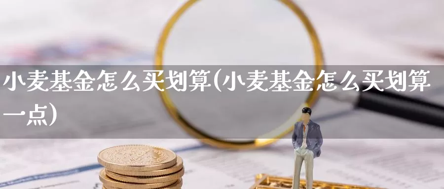 小麦基金怎么买划算(小麦基金怎么买划算一点)_https://www.zzcnk.com_基金_第1张