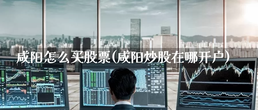 咸阳怎么买股票(咸阳炒股在哪开户)_https://www.zzcnk.com_股票_第1张