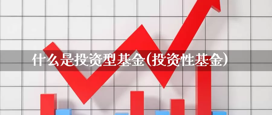 什么是投资型基金(投资性基金)_https://www.zzcnk.com_基金_第1张