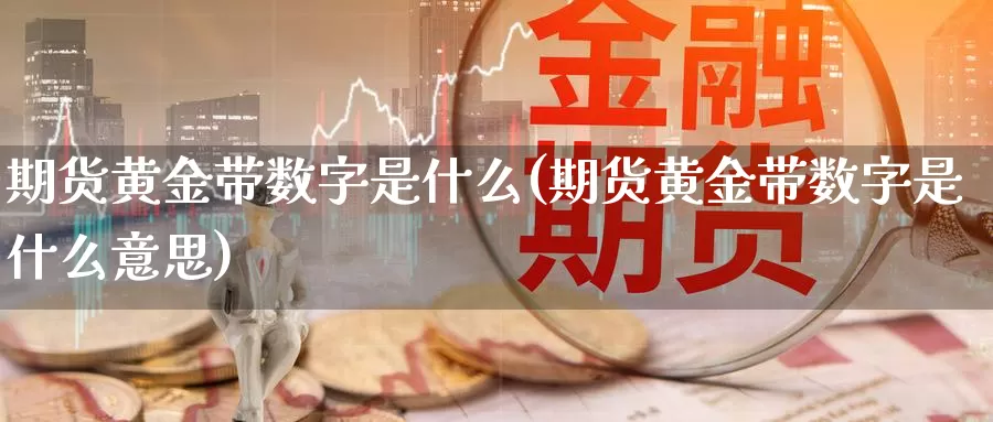 期货黄金带数字是什么(期货黄金带数字是什么意思)_https://www.zzcnk.com_期货_第1张