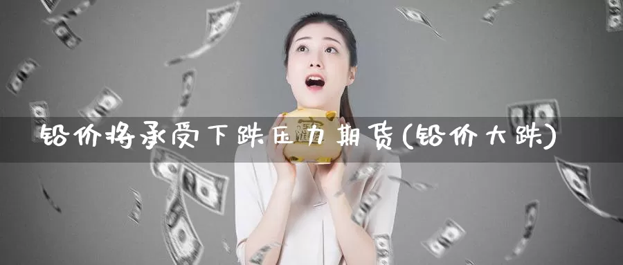 铅价将承受下跌压力期货(铅价大跌)_https://www.zzcnk.com_期货百科_第1张