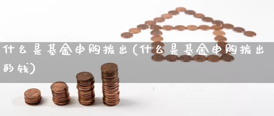 什么是基金申购拨出(什么是基金申购拨出的钱)_https://www.zzcnk.com_财经_第1张