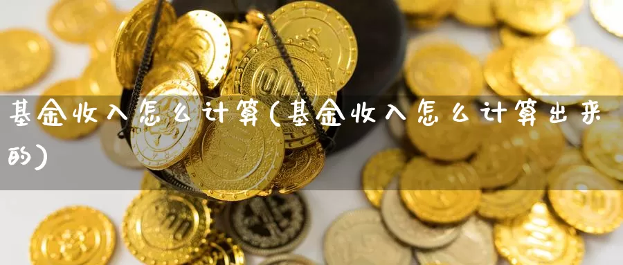 基金收入怎么计算(基金收入怎么计算出来的)_https://www.zzcnk.com_股票_第1张