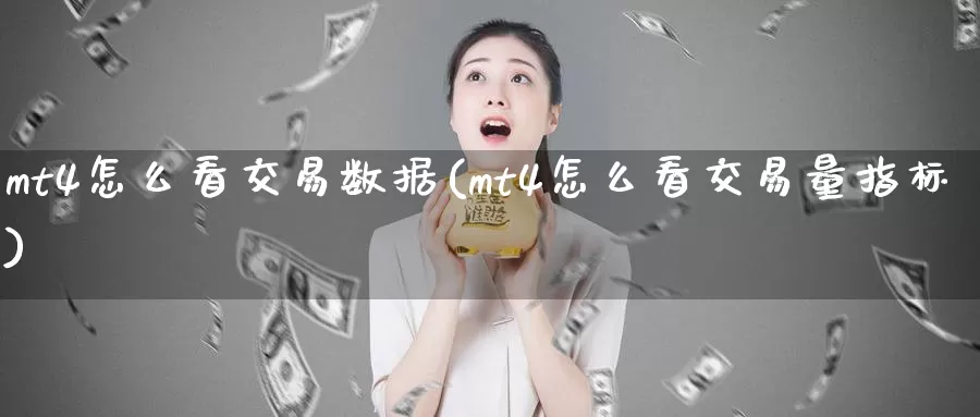 mt4怎么看交易数据(mt4怎么看交易量指标)_https://www.zzcnk.com_内盘期货_第1张