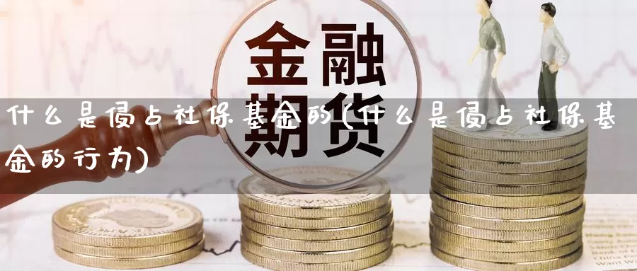 什么是侵占社保基金的(什么是侵占社保基金的行为)_https://www.zzcnk.com_基金_第1张