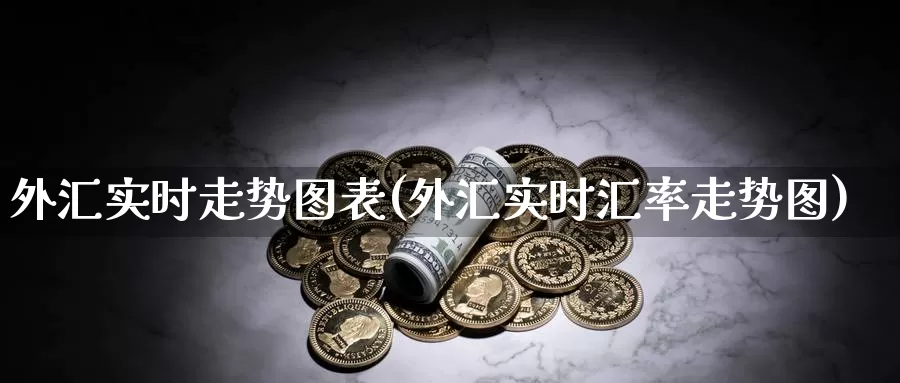 外汇实时走势图表(外汇实时汇率走势图)_https://www.zzcnk.com_内盘期货_第1张