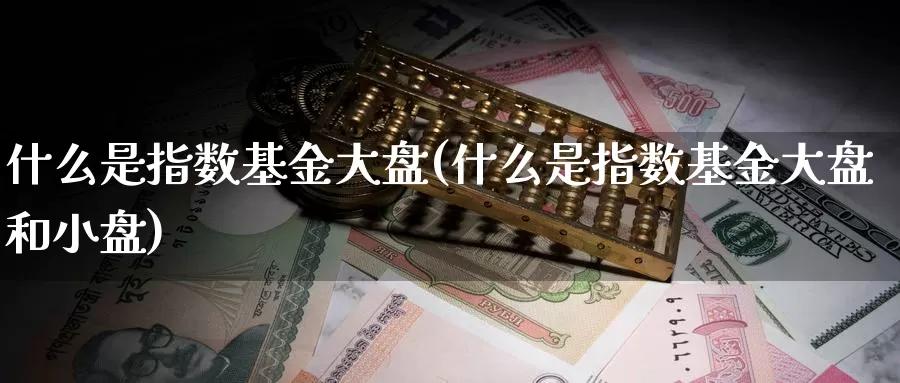 什么是指数基金大盘(什么是指数基金大盘和小盘)_https://www.zzcnk.com_基金_第1张